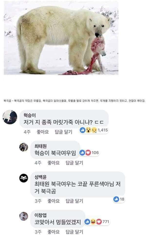 동물과 싸워서 이기는 방법ㅋㅋㅋㅋㅋㅋㅋㅋㅋㅋㅋㅋㅋㅋㅋㅋ | 인스티즈