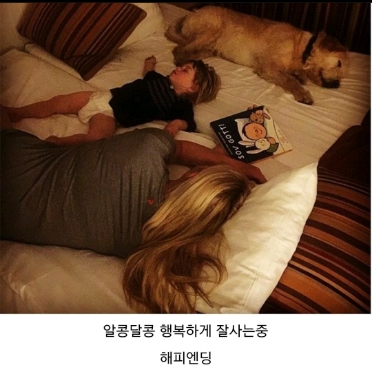 버려진 골든 댕댕이 | 인스티즈