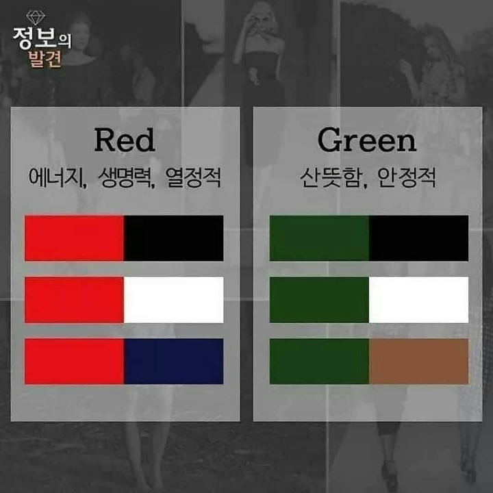옷 입을 때 베스트 컬러 조합 | 인스티즈