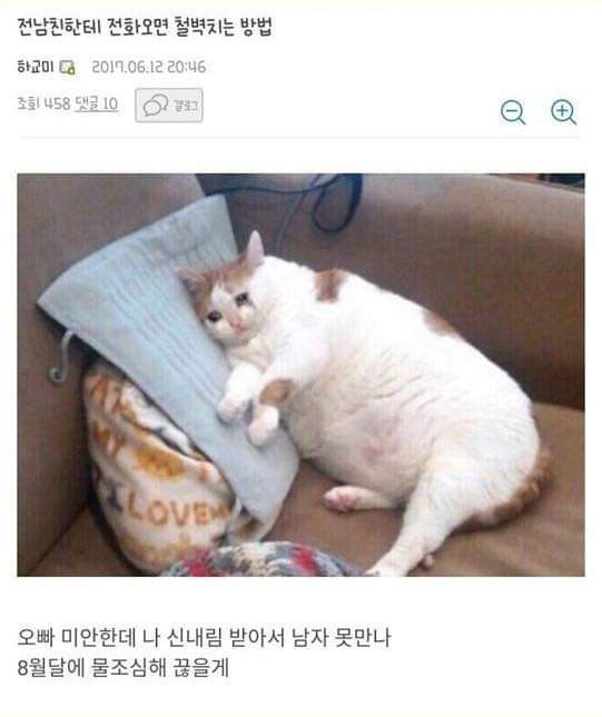 전남친한테 전화오면 철벽치는 방법 | 인스티즈