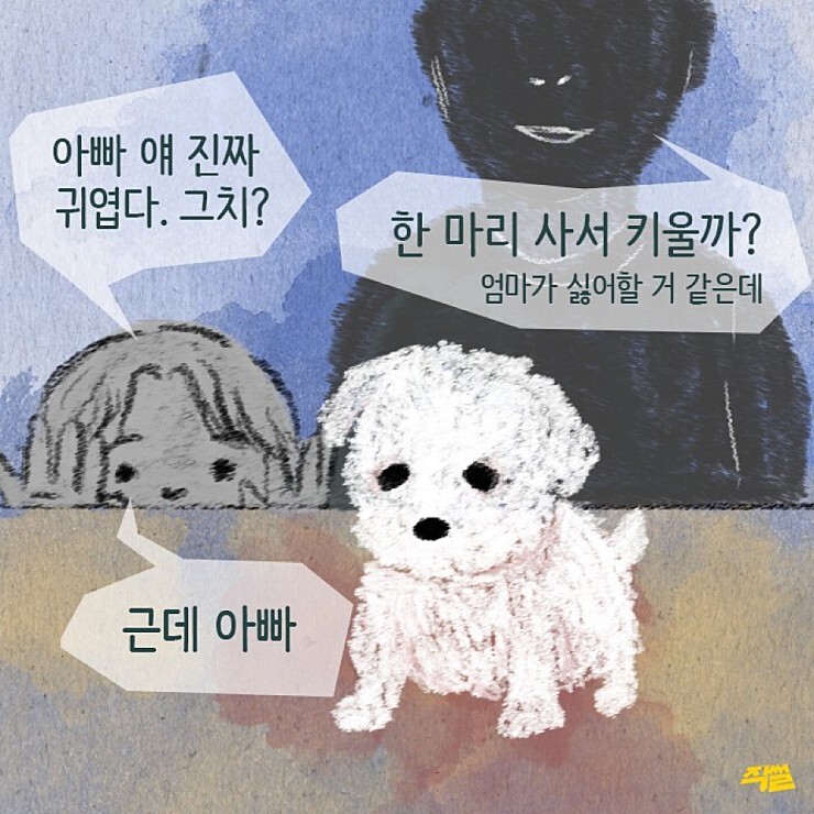 애견샵 불편한 진실 | 인스티즈