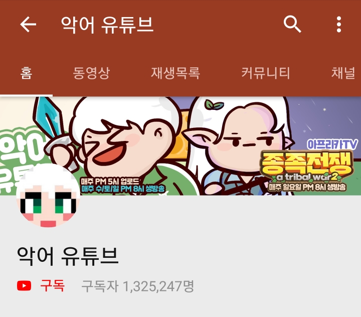 아프리카 주요 BJ들 유투브 구독자 수 JPG | 인스티즈