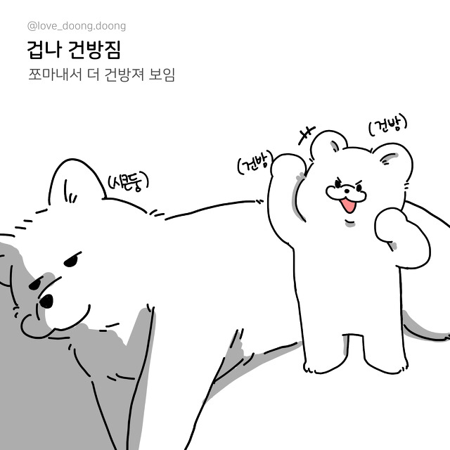 키작은 애들 특징 | 인스티즈