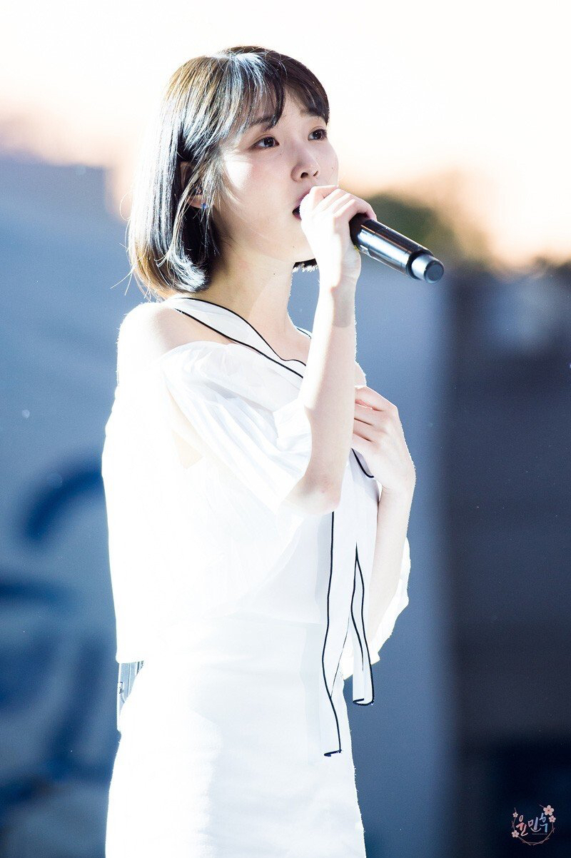 2017년 연세대 축제 아이유.jpgif | 인스티즈