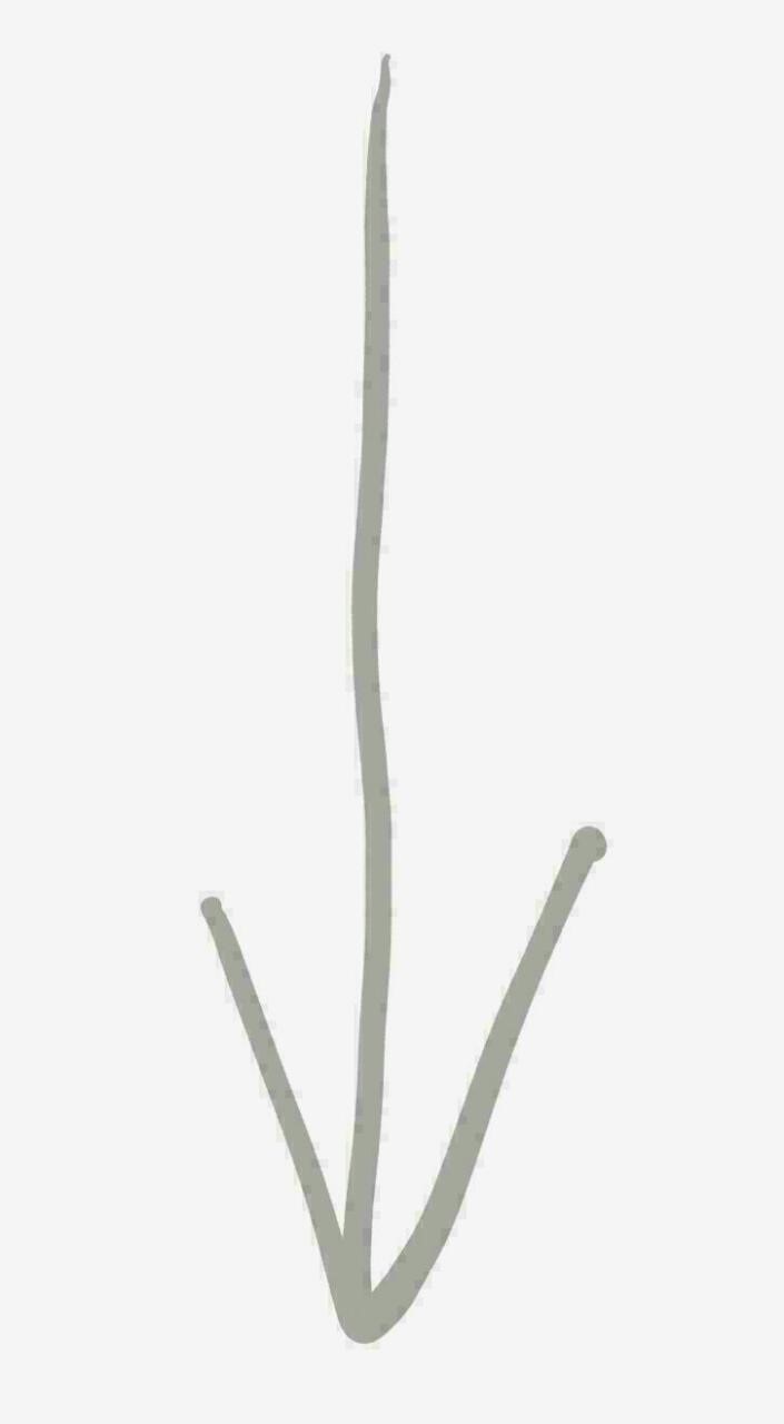 라이언이 머리를 기르지 않는 이유 | 인스티즈