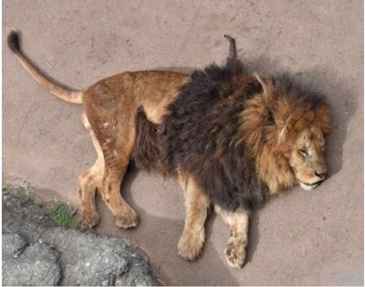 세상에 남자가 나만 남았다 | 인스티즈