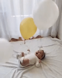 가성비 최고인 아기 장난감.gif | 인스티즈