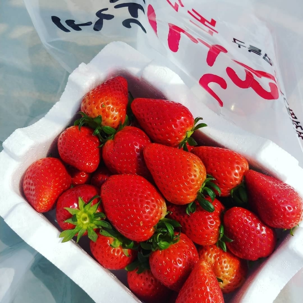 코로나 때문에 취소됐다는 논산딸기축제.......jpg | 인스티즈