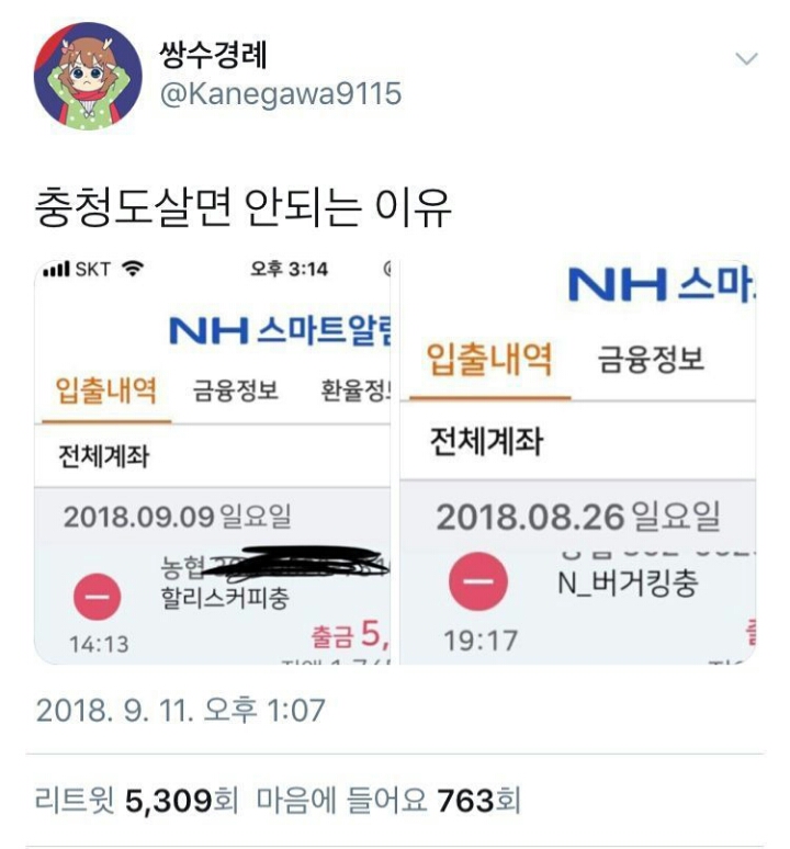 충청도에 살면 안되는 이유 | 인스티즈
