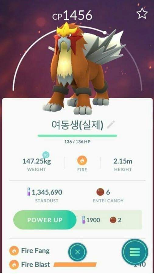 포켓몬 이름을 여동생으로 지음 | 인스티즈