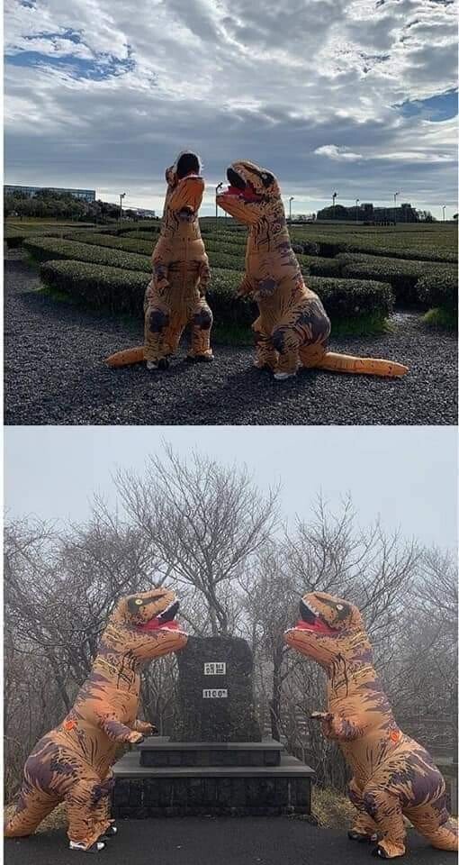 인싸 커플들이 여행을 즐기는 방법 | 인스티즈