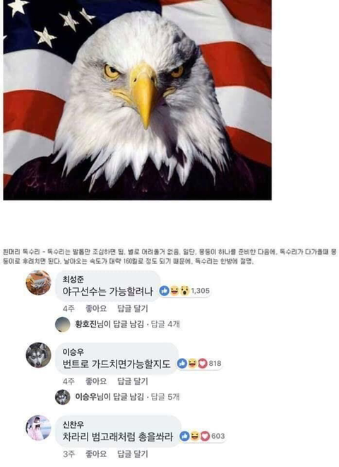 동물과 싸워서 이기는 방법ㅋㅋㅋㅋㅋㅋㅋㅋㅋㅋㅋㅋㅋㅋㅋㅋ | 인스티즈