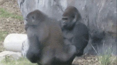 어디서 질이야.gif | 인스티즈