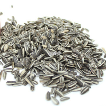 견과류 세트에서 가장 좋아하는 견과류는? | 인스티즈