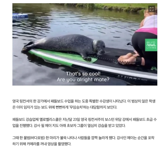 무임승차한 귀요미.jpg | 인스티즈