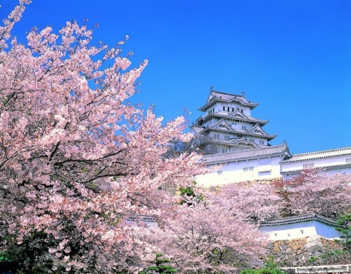 메이플스토리 월드를 빼닮은 아름다운 실제 풍경들 모음!! | 인스티즈