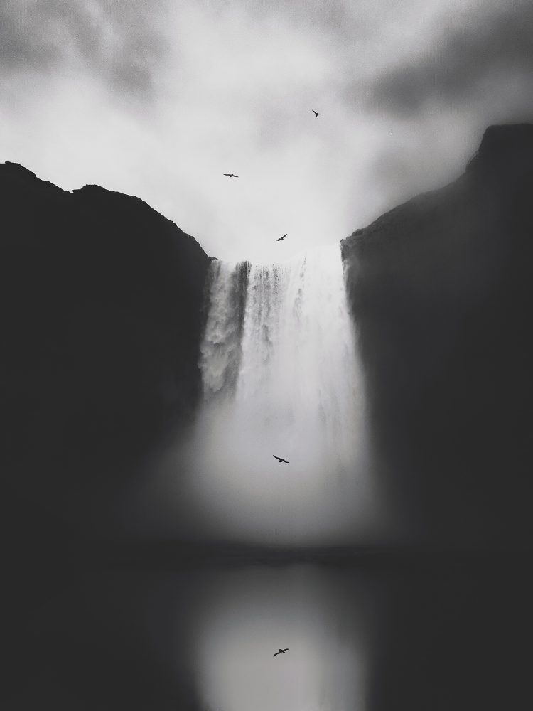 2020 아이폰 사진 어워드 수상작들 | 인스티즈