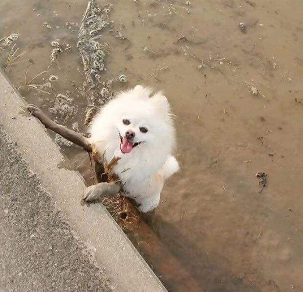 검정 스타킹 | 인스티즈