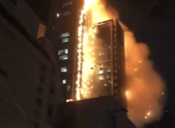 대한민국 올해의 사진 후보.jpg | 인스티즈