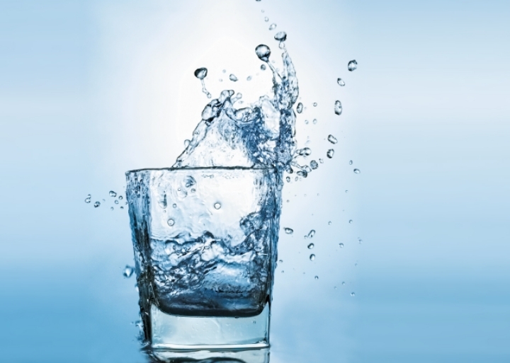 둘 중 하나 죽을때까지 못먹음 | 인스티즈