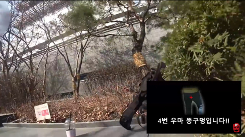 유튜브에 미을 치면 제일 위에 뜨는 유튜버의 진짜 광기 | 인스티즈