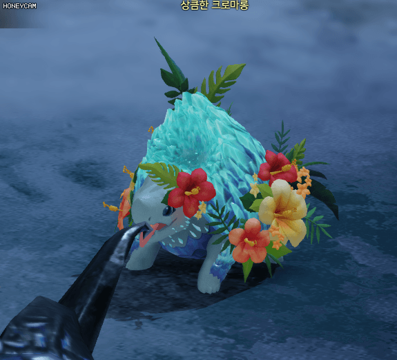 로스트아크에 출시된 가디언펫들 | 인스티즈