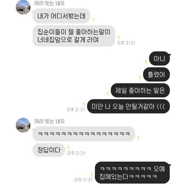 집돌이 집순이들이 제일 좋아하는 말.jpg | 인스티즈