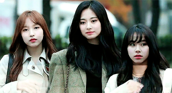 트와이스 사나 미나 모모 | 인스티즈