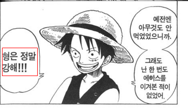 원피스 피 따위랑은 다르게 해적왕의 자격이 있던 남자 | 인스티즈