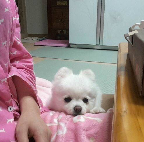 ???: 야야 그거 한입 먹는다고 죽냐 ㅋㅋㅋ | 인스티즈