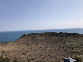 제주도 여행지 리뷰 | 인스티즈