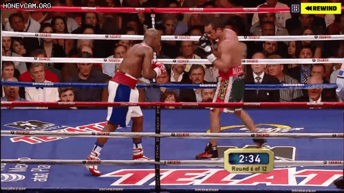 프로 복서들의 찰나 | 인스티즈