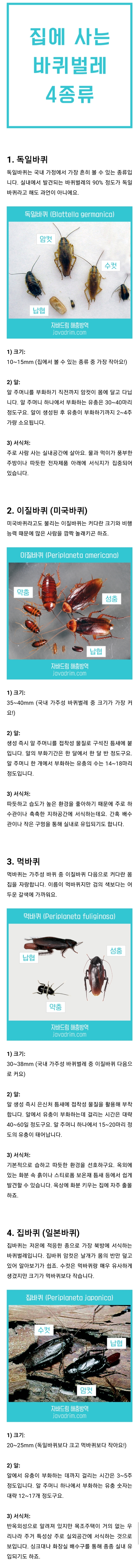 집에 사는 바퀴벌레 종류 및 서식지 (혐오주의) | 인스티즈