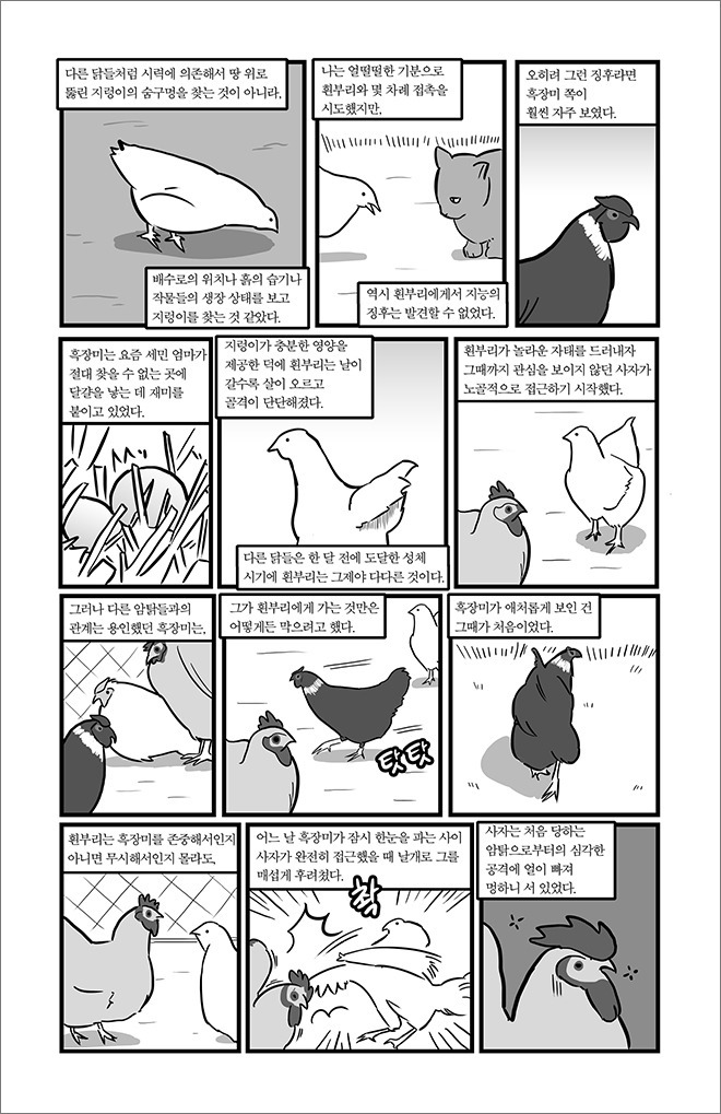 묘생만경.jpg | 인스티즈