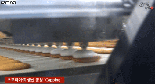 초코파이 만드는과정 | 인스티즈