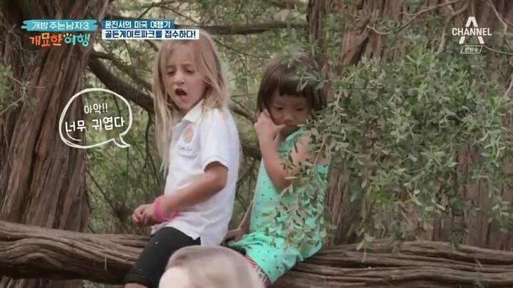 미국에서 인기쩌는 진돗개....jpg | 인스티즈