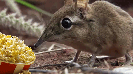 알바가 과장님한테 명령하네? | 인스티즈