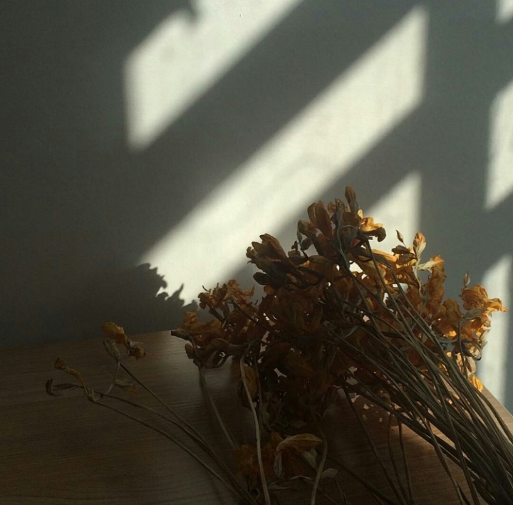 나는 계속 시든 꽃에 물을 주고 있다 (재업) | 인스티즈