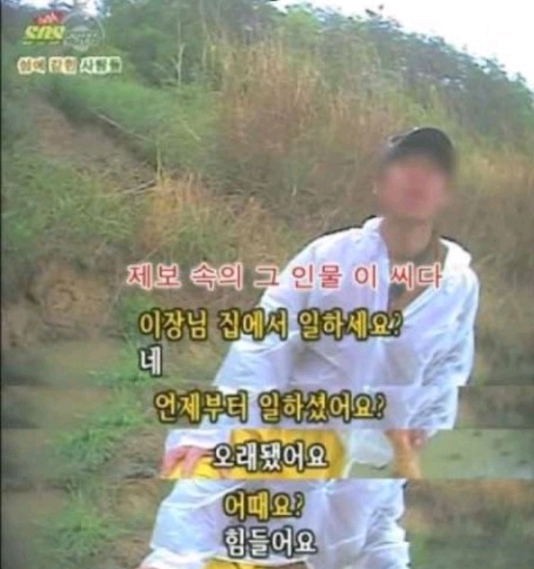 섬노예가 탈출하기 어려운 이유 | 인스티즈