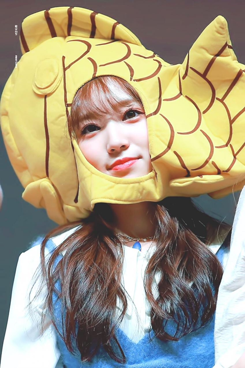 아이즈원 권은비가 무서워하는 멤버는? | 인스티즈