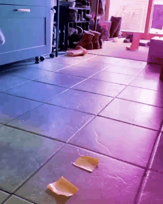 고장난 고양이 | 인스티즈