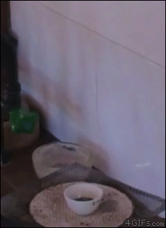 화학반응 | 인스티즈