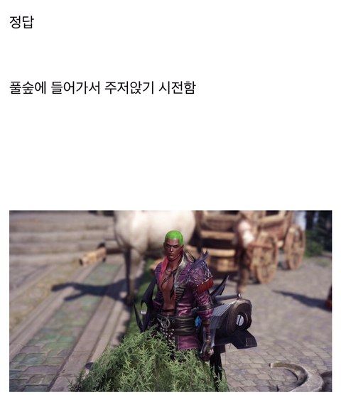 [로스트아크] 누구보다 게임을 재밌게 즐기시는 분.jpg | 인스티즈