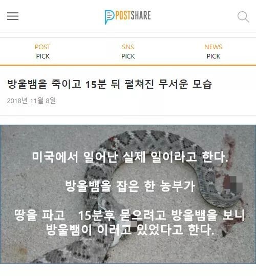 뱀을 죽여도 는 땅에 묻어야 하는 이유 (혐오주의) | 인스티즈