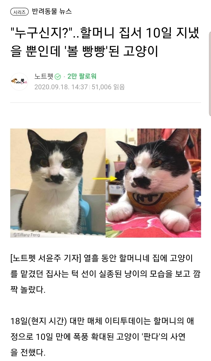 할머니의 확대력 | 인스티즈