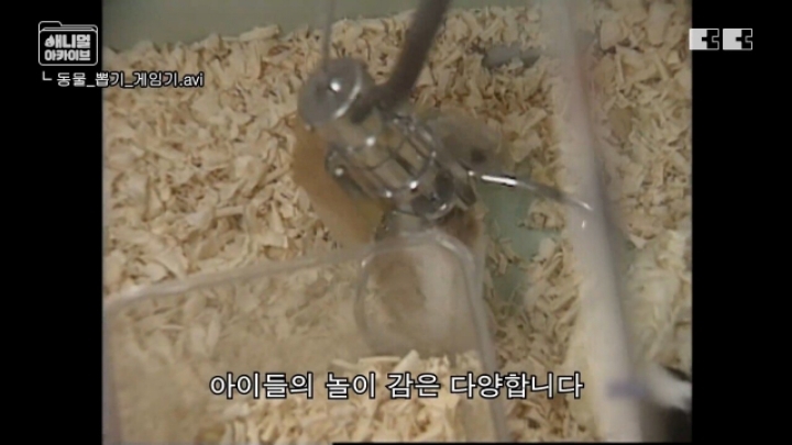 잼민이들은 모르는 저세상 인형뽑기 ㄷㄷㄷㄷ | 인스티즈