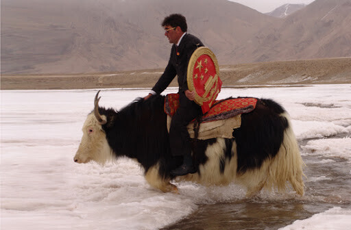 중국의 판사.jpg | 인스티즈