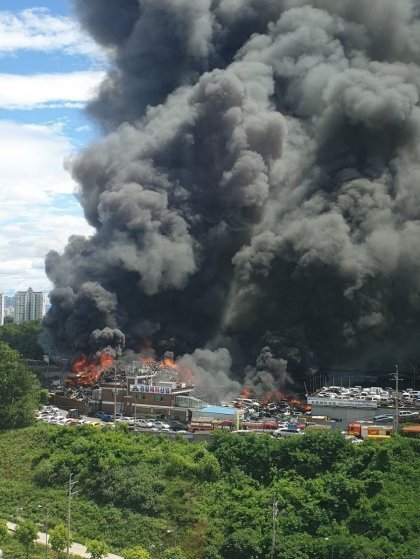 현시각 일산 | 인스티즈