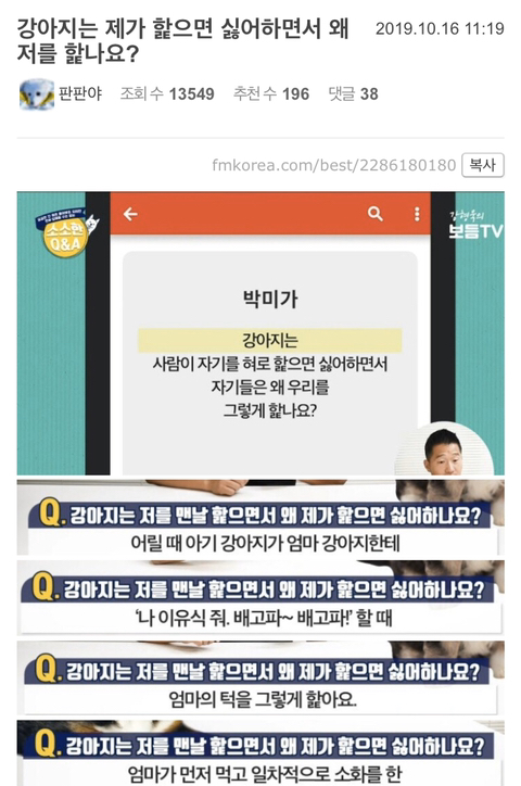 강아지는 제가 핥으면 싫어하면서 왜 저를 핥나요? | 인스티즈