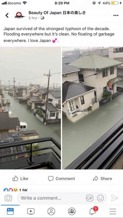 아무래도 정신을 놓은듯한 일본인 페이스북.jpg | 인스티즈